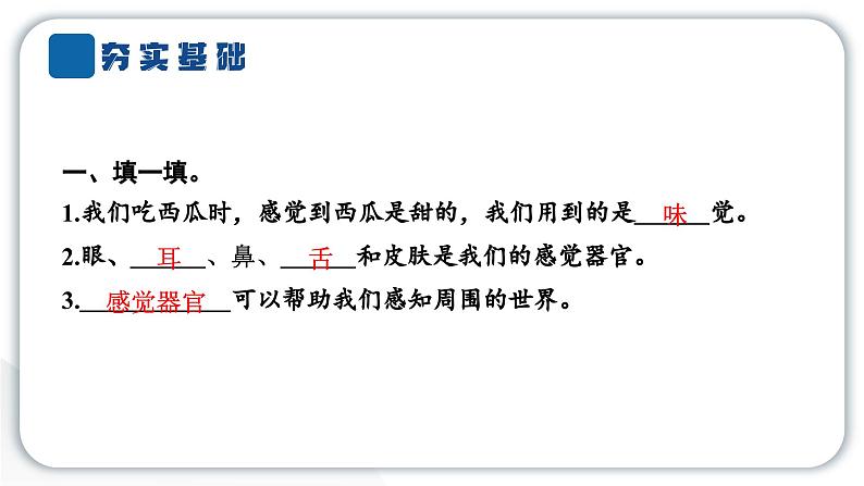 2024教科版科学二年级下册第二单元我们自己2通过感官来发现 作业课件第3页