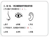 2024教科版科学二年级下册第二单元我们自己2通过感官来发现 作业课件