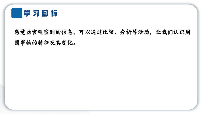 2024教科版科学二年级下册第二单元我们自己3观察与比较 作业课件第2页