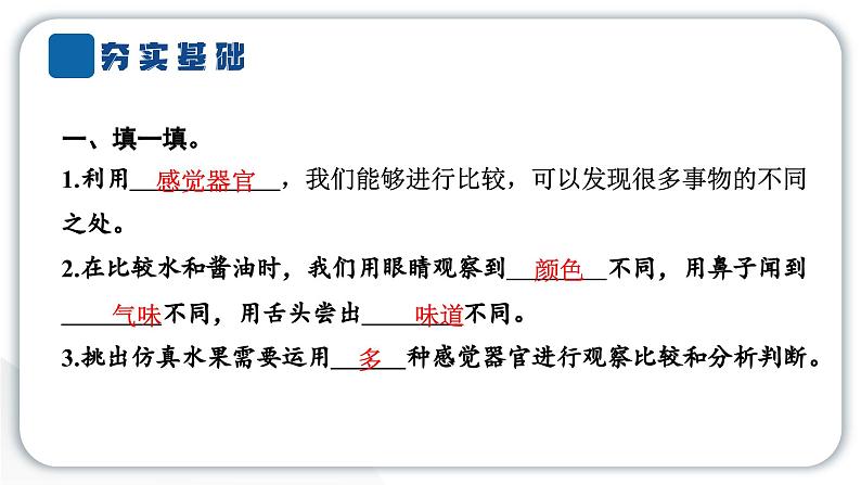 2024教科版科学二年级下册第二单元我们自己3观察与比较 作业课件第3页