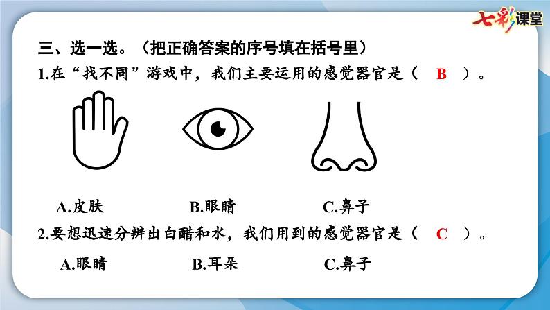 2024教科版科学二年级下册第二单元我们自己3观察与比较 作业课件第5页