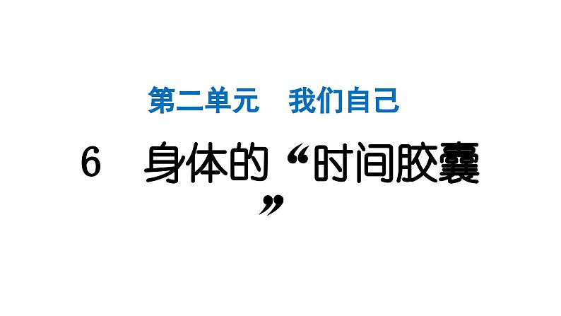 2024教科版科学二年级下册第二单元我们自己6身体的“时间胶囊” 作业课件第1页