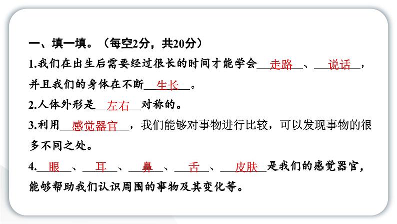 2024教科版科学二年级下册第二单元我们自己第二单元学习达标测试 作业课件第2页