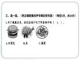 2024教科版科学二年级下册第二单元我们自己第二单元学习达标测试 作业课件
