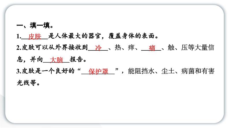 2024教科版科学二年级下册第二单元我们自己科学阅读 作业课件第2页