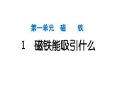 2024教科版科學(xué)二年級下冊第一單元磁鐵1磁鐵能吸引什么 作業(yè)課件