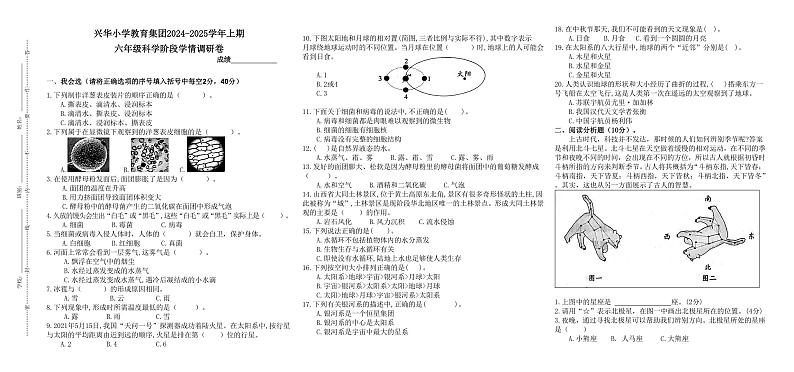 河南省郑州市二七区兴华小学教育集团2024-2025学年六年级上学期期中科学试卷第1页