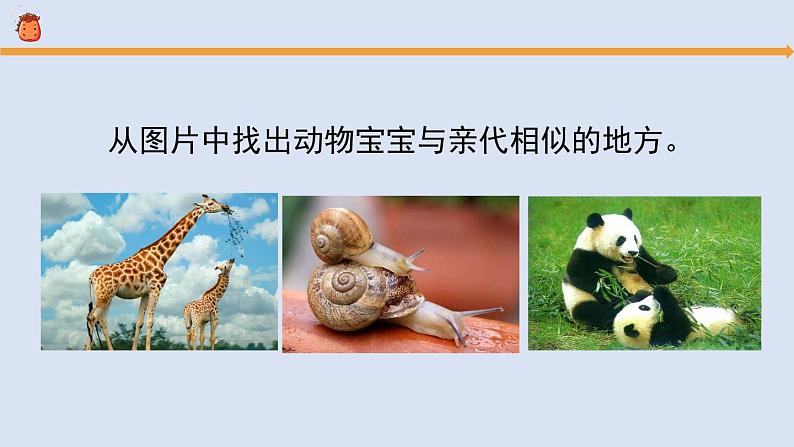 《孩子与父母（2）》参考课件第3页