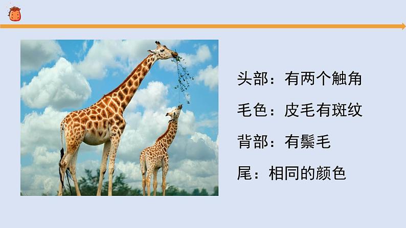 《孩子与父母（2）》参考课件第4页