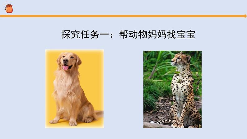 《孩子与父母（2）》参考课件第8页