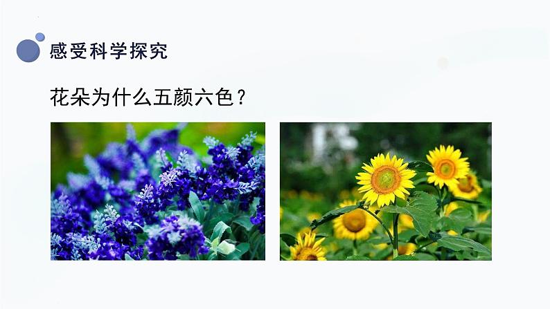 1.1 学科学（教学课件）-一年级科学上册同步精品课堂（冀人版·2024秋）第8页