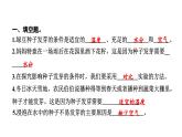 2024教科版科学五年级下册第一单元生物与环境2 比较种子发芽实验 作业课件ppt