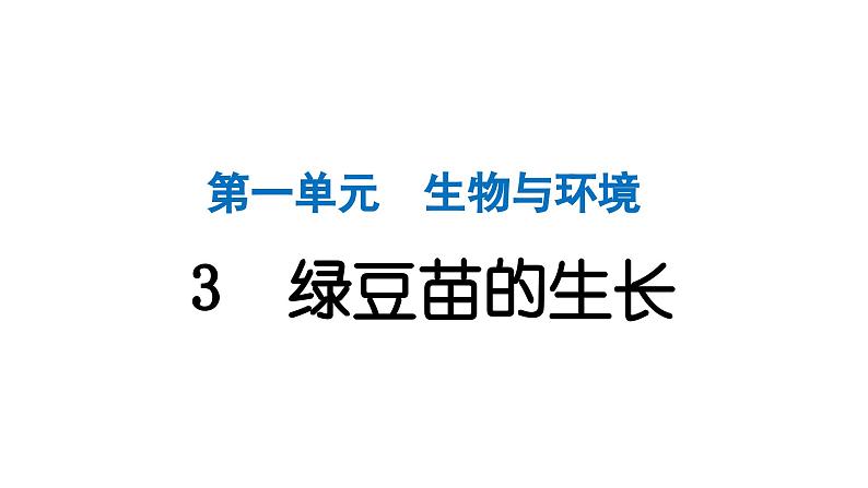 2024教科版科学五年级下册第一单元生物与环境3 绿豆苗的生长 作业课件ppt第1页