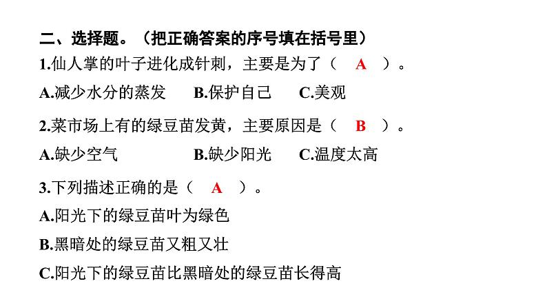 2024教科版科学五年级下册第一单元生物与环境3 绿豆苗的生长 作业课件ppt第4页