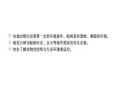 2024教科版科学五年级下册第一单元生物与环境4 蚯蚓的选择 作业课件ppt