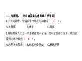 2024教科版科学五年级下册第一单元生物与环境4 蚯蚓的选择 作业课件ppt