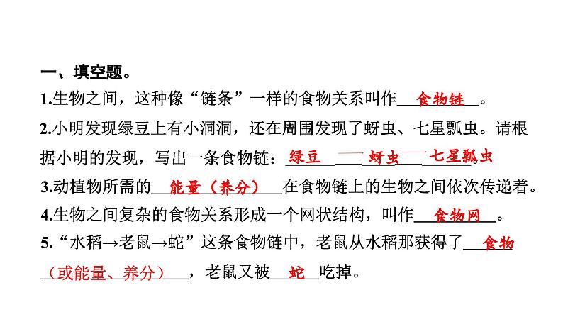 2024教科版科学五年级下册第一单元生物与环境6 食物链和食物网 作业课件ppt第3页