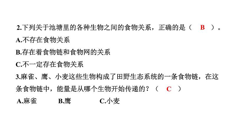 2024教科版科学五年级下册第一单元生物与环境6 食物链和食物网 作业课件ppt第5页