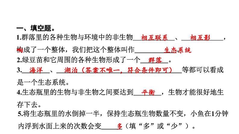 2024教科版科学五年级下册第一单元生物与环境7 设计和制作生态瓶 作业课件ppt第3页