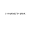 2024教科版科学五年级下册第一单元生物与环境科学阅读 作业课件ppt