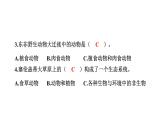 2024教科版科学五年级下册第一单元生物与环境科学阅读 作业课件ppt