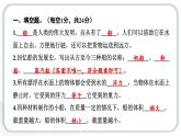 2024教科版科學(xué)五年級(jí)下冊(cè)第二單元船的研究第二單元學(xué)習(xí)達(dá)標(biāo)測(cè)試 作業(yè)課件ppt