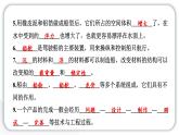 2024教科版科學(xué)五年級(jí)下冊(cè)第二單元船的研究第二單元學(xué)習(xí)達(dá)標(biāo)測(cè)試 作業(yè)課件ppt