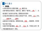 2024教科版科学五年级下册第三单元环境与我们7 分析一个实际的环境问题 作业课件ppt