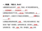 2024教科版科学五年级下册期末测试卷 作业课件ppt