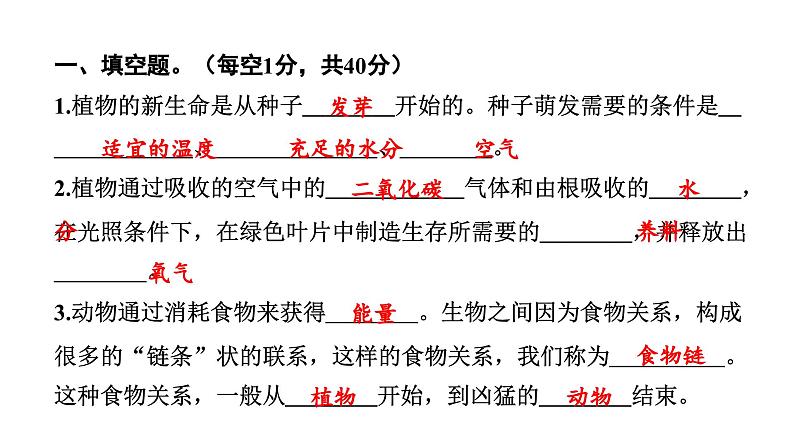 2024教科版科学五年级下册期末测试卷 作业课件ppt第2页