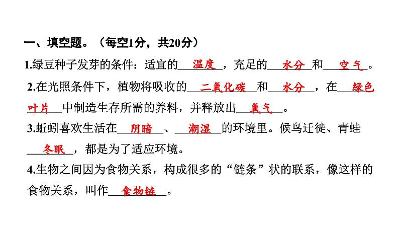 2024教科版科学五年级下册期中测试卷 作业课件ppt第2页