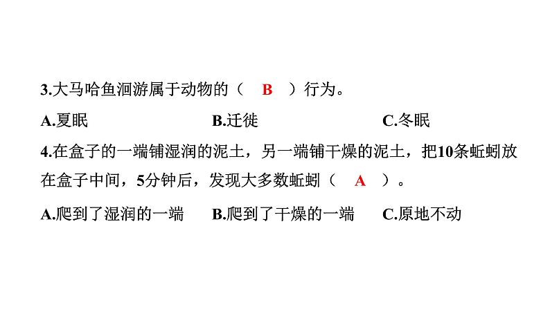 2024教科版科学五年级下册期中测试卷 作业课件ppt第5页