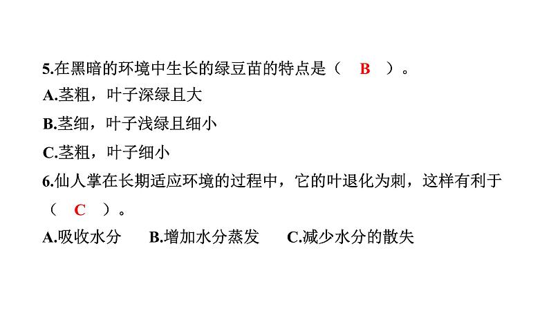 2024教科版科学五年级下册期中测试卷 作业课件ppt第6页