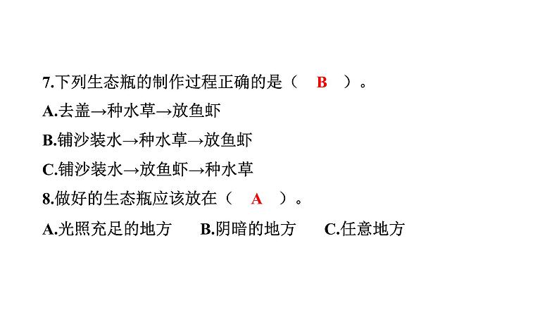 2024教科版科学五年级下册期中测试卷 作业课件ppt第7页