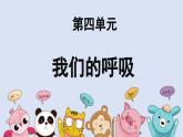 人教鄂教版（2024）科學三上第四單元《我們的呼吸》復習課件