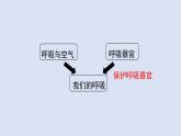 人教鄂教版（2024）科學三上第四單元《我們的呼吸》復習課件