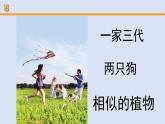 人教鄂教版（2024）科学五上第二单元《后代与亲代》复习课件