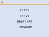 人教鄂教版（2024）科学五上第二单元《后代与亲代》复习课件