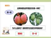 2.3 感觉器官（教学课件）-一年级科学上册同步课堂（冀人版·2024秋）