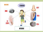 2.3 感觉器官（教学课件）-一年级科学上册同步课堂（冀人版·2024秋）