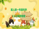 2.6 工具幫助我（教學(xué)課件）-一年級科學(xué)上冊同步精品課堂（冀人版·2024秋）