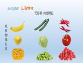 3.8 認(rèn)識(shí)物體（教學(xué)課件）-一年級(jí)科學(xué)上冊(cè)同步精品課堂（冀人版·2024秋）