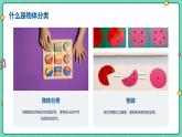 3.9 給物體分類（教學(xué)課件）-一年級(jí)科學(xué)上冊(cè)同步精品課堂（冀人版·2024秋）