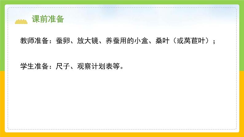 教科版科学三下 2.1 《迎接蚕宝宝的到来》课件第3页