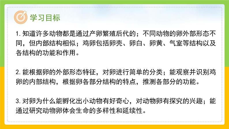 教科版科学三下 2.2 《认识其他动物的卵》课件第2页