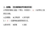 2024教科版科学六年级下册第一单元小小工程师3 建造塔台 作业课件ppt