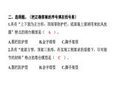 2024教科版科学六年级下册第一单元小小工程师5 制作塔台模型 作业课件ppt