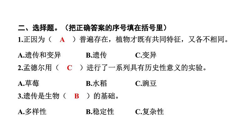 2024教科版科学六年级下册第二单元生物的多样性3 形形色色的植物 作业课件ppt第4页