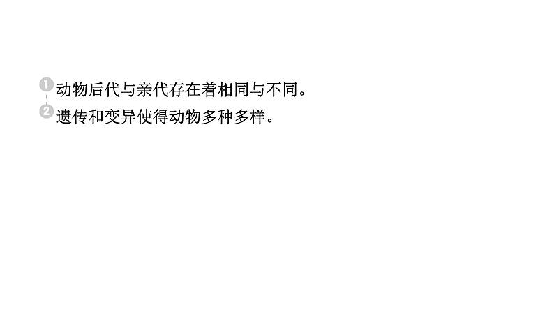 2024教科版科学六年级下册第二单元生物的多样性4 多种多样的动物 作业课件ppt第2页