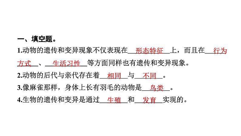 2024教科版科学六年级下册第二单元生物的多样性4 多种多样的动物 作业课件ppt第3页